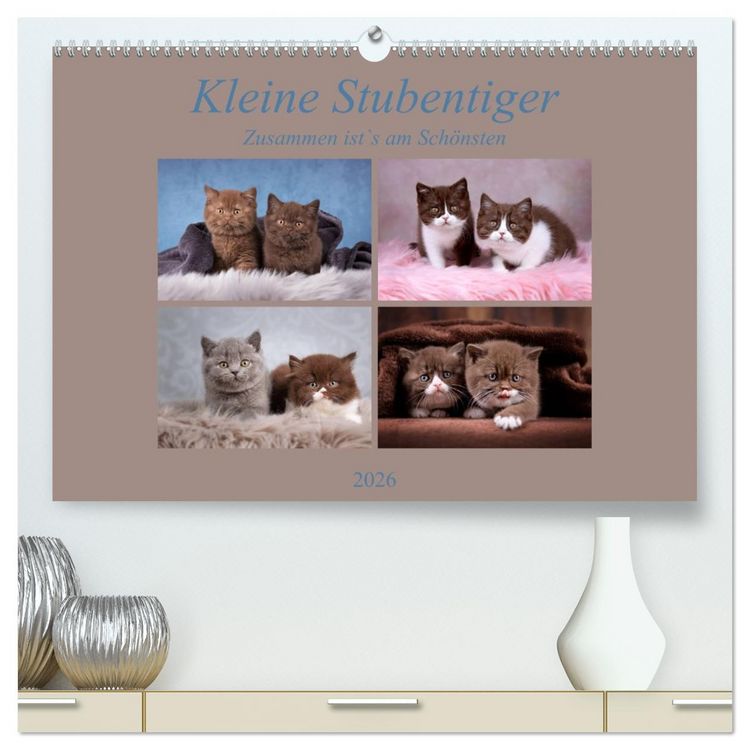 Produktbild: Kleine Stubenstiger (hochwertiger Premium Wandkalender 2026 DIN A2 quer), Kunstdruck in Hochglanz