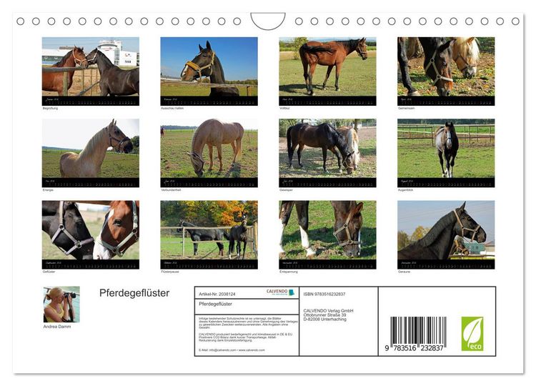 Produktbild: Pferdegefl&uuml;ster (Wandkalender 2026 DIN A4 quer), CALVENDO Monatskalender