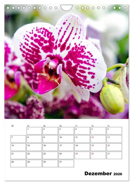 Produktbild: Orchideen - Tropische Sch&ouml;nheiten (Wandkalender 2026 DIN A4 hoch), CALVENDO Monatskalender