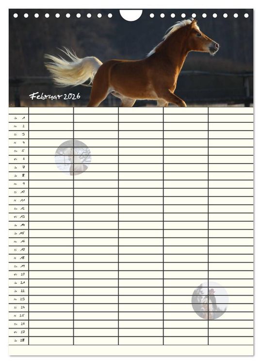 Produktbild: Haflinger Pferde - Stall- und Familienplaner 2026 (Wandkalender 2026 DIN A4 hoch), CALVENDO Monatskalender