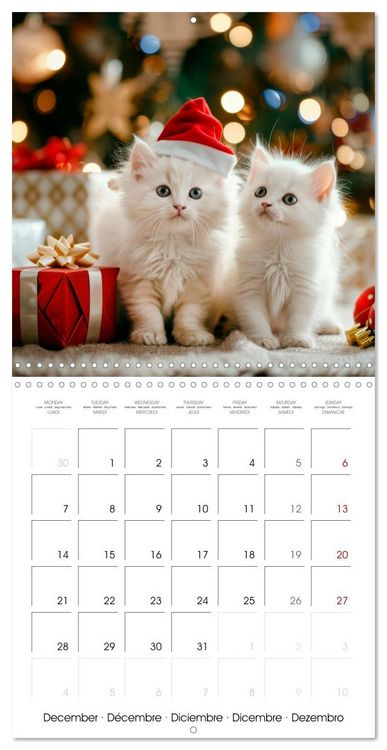 Produktbild: KITTEN Cuteness overload (Wall Calendar 2026 12 &times; 12 Inch) CALVENDO 12 Month Wall Calendar