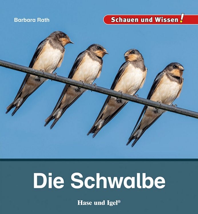 Produktbild: Die Schwalbe