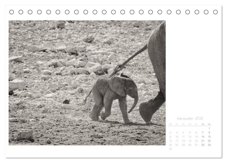 Produktbild: Elefanten in Etosha (Tischkalender 2026 DIN A5 quer), CALVENDO Monatskalender