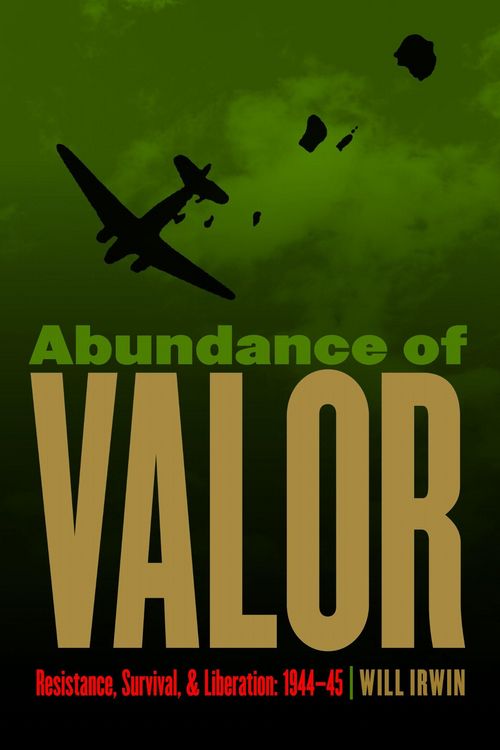 Produktbild: Abundance of Valor