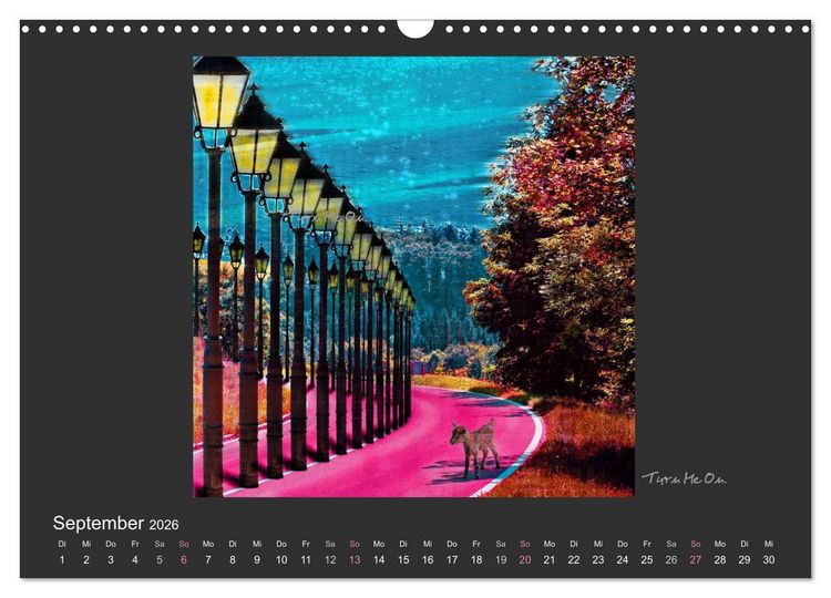 Produktbild: Schwarzwald. Anders. (Wandkalender 2026 DIN A3 quer), CALVENDO Monatskalender