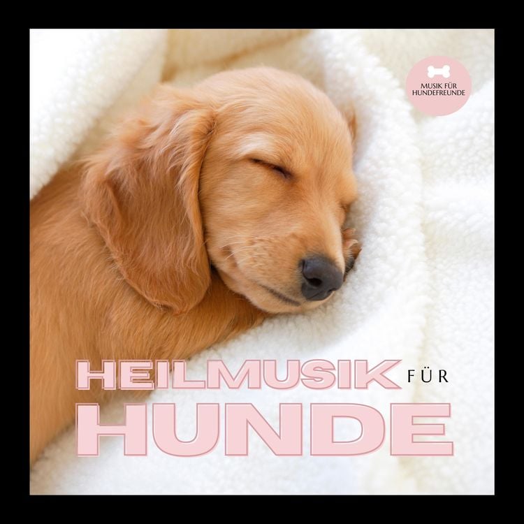 Produktbild: Heilmusik f&uuml;r Hunde