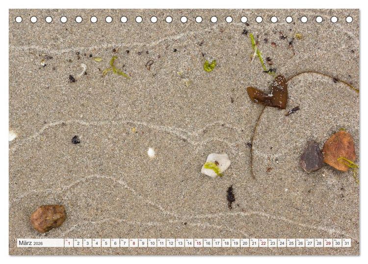Produktbild: Feine Formen der Natur (Tischkalender 2026 DIN A5 quer), CALVENDO Monatskalender