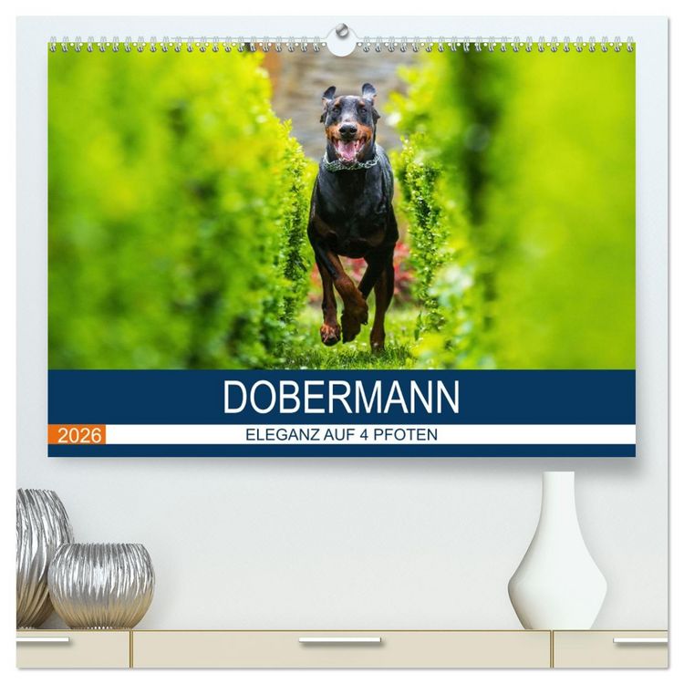 Produktbild: Dobermann 2026 (hochwertiger Premium Wandkalender 2026 DIN A2 quer), Kunstdruck in Hochglanz