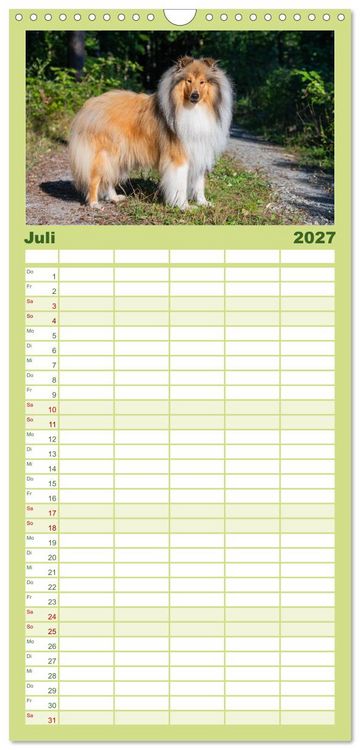 Produktbild: Familienplaner 2027 - Traumhund Collie - Mein bester Freund mit 5 Spalten (Wandkalender, 21 x 45 cm) CALVENDO
