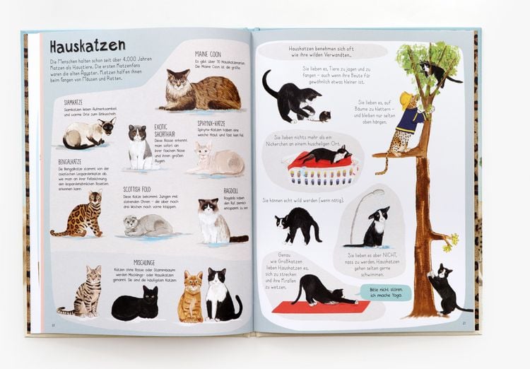 Produktbild: Das Katzen-Buch