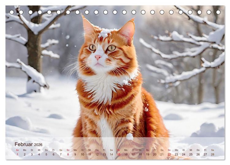 Produktbild: Rote Katzen (Tischkalender 2026 DIN A5 quer), CALVENDO Monatskalender