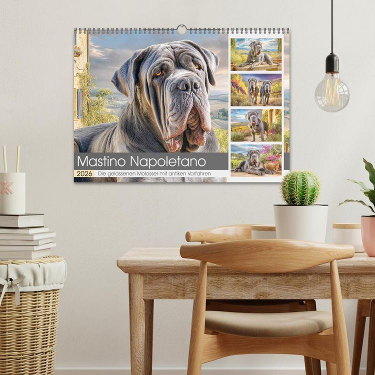Produktbild: Mastino Napoletano. Die gelassenen Molosser mit antiken Vorfahren (Wandkalender 2026 DIN A3 quer), CALVENDO Monatskalender