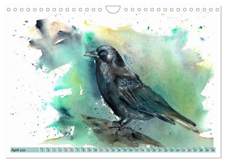Produktbild: The Fascinating World of Birds in Watercolour (Wall Calendar 2026 DIN A4 landscape), CALVENDO 12 Month Wall Calendar