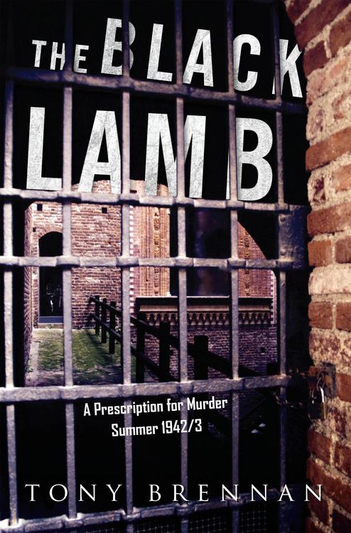 Produktbild: Black Lamb