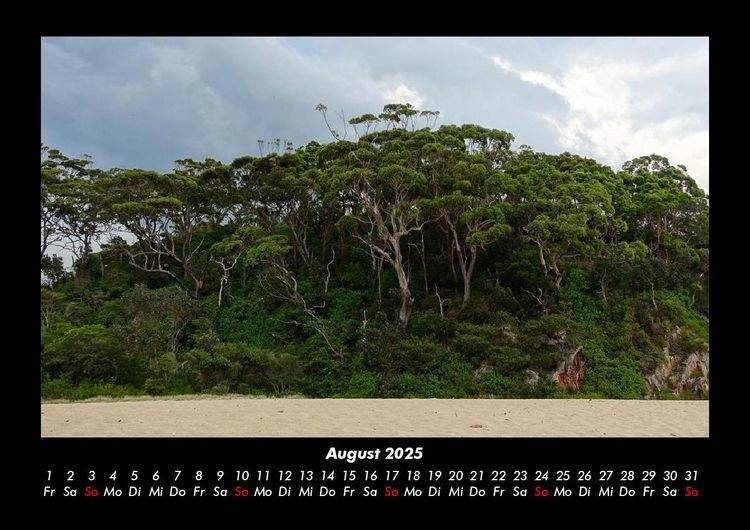 Produktbild: B&auml;ume 2025 Fotokalender DIN A3