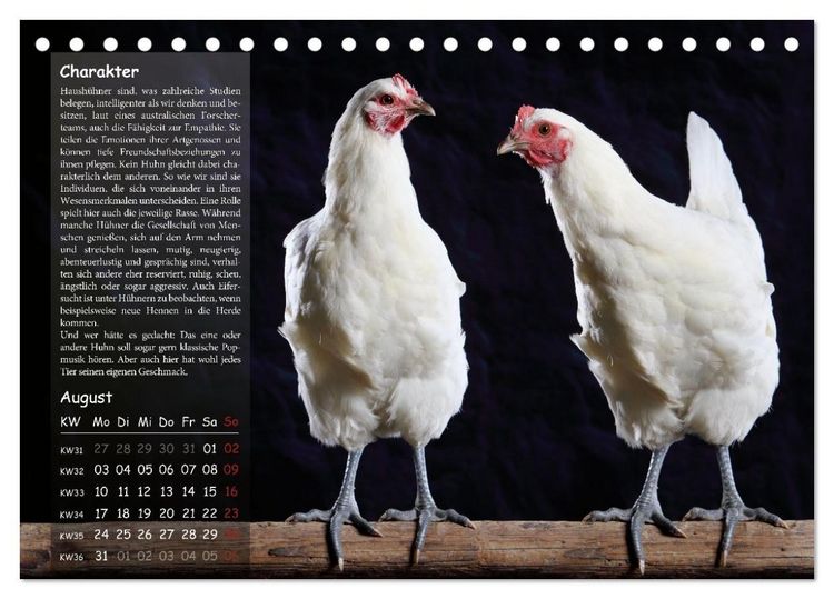 Produktbild: Von der Einzigartigkeit der H&uuml;hner 2026 (Tischkalender 2026 DIN A5 quer), CALVENDO Monatskalender