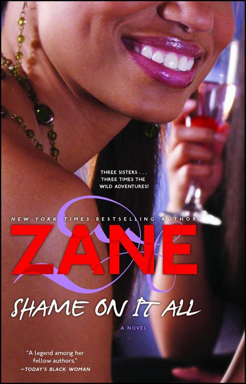 Produktbild: Shame on It All