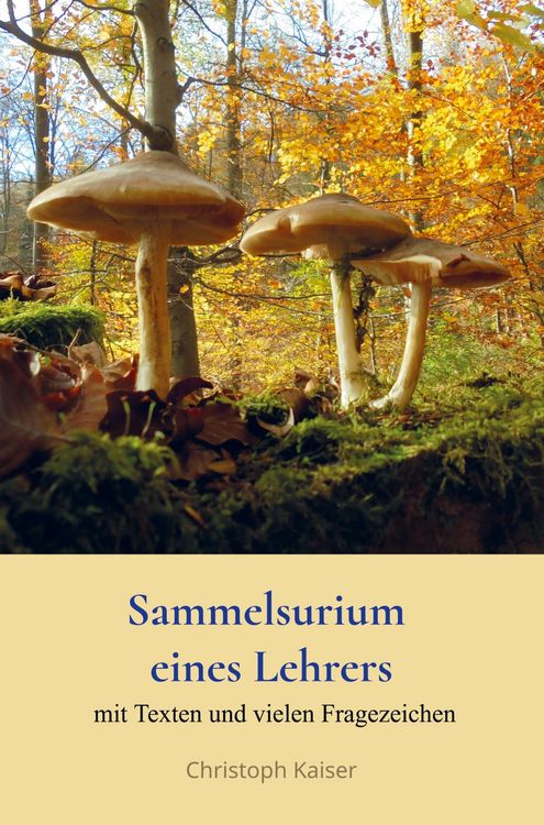 Produktbild: Sammelsurium eines Lehrers