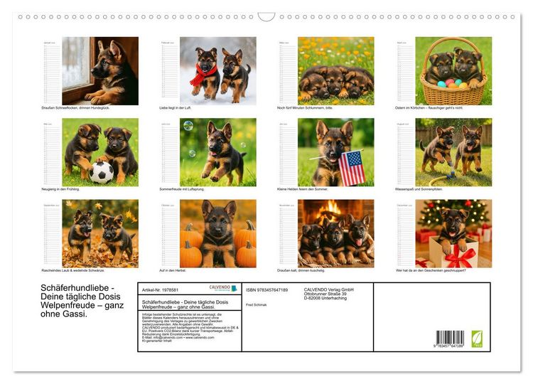 Produktbild: Sch&auml;ferhundliebe - Deine t&auml;gliche Dosis Welpenfreude &ndash; ganz ohne Gassi. (Wandkalender 2026 DIN A2 quer), CALVENDO Monatskalender