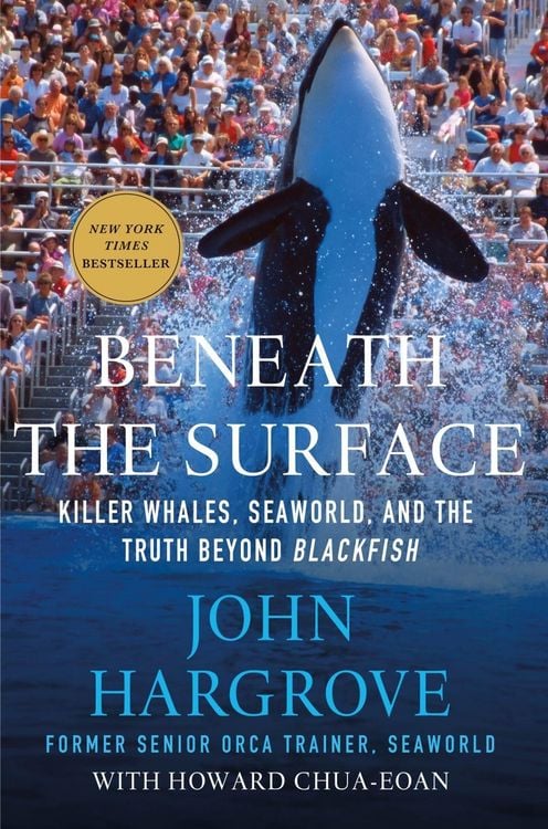 Produktbild: Beneath the Surface
