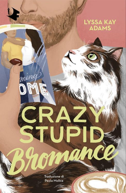 Produktbild: Crazy stupid bromance