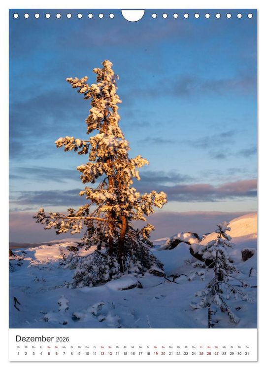 Produktbild: Winter in Lappland - Bezaubernde Sch&ouml;nheit (Wandkalender 2026 DIN A4 hoch), CALVENDO Monatskalender
