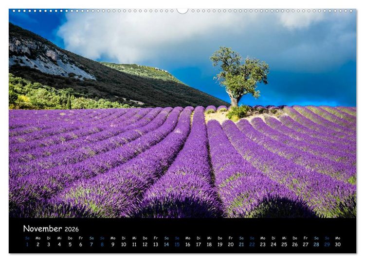Produktbild: Provence - Lavendelbl&uuml;te (hochwertiger Premium Wandkalender 2026 DIN A2 quer), Kunstdruck in Hochglanz