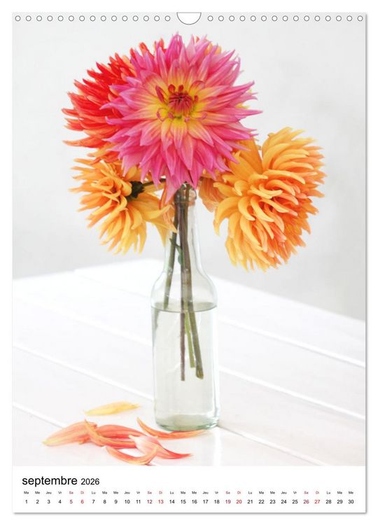 Produktbild: Fleurs &eacute;l&eacute;gantes (Calendrier mural 2026 DIN A3 horizontal), CALVENDO calendrier mensuel