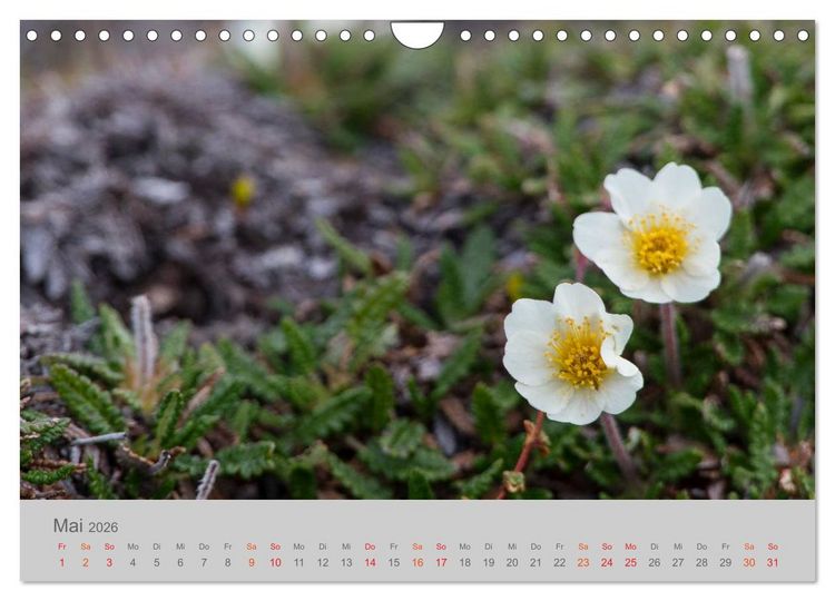 Produktbild: Spitzbergen 80&deg; Nord (Wandkalender 2026 DIN A4 quer), CALVENDO Monatskalender