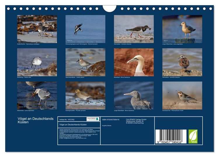 Produktbild: V&ouml;gel an Deutschlands K&uuml;sten (Wandkalender 2026 DIN A4 quer), CALVENDO Monatskalender
