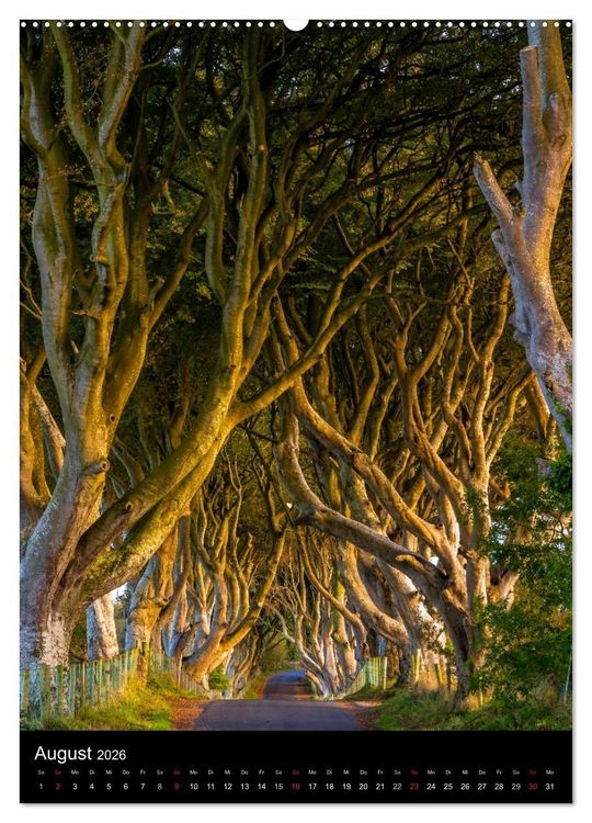 Produktbild: Irland entdecken (hochwertiger Premium Wandkalender 2026 DIN A2 hoch), Kunstdruck in Hochglanz