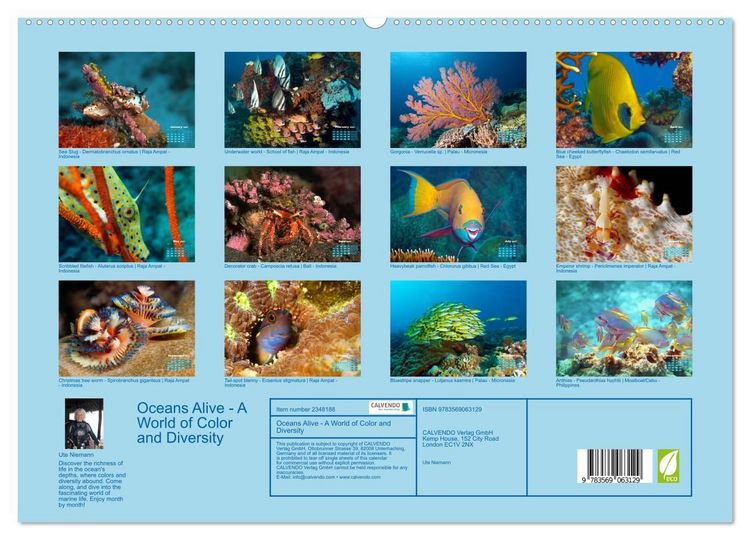 Produktbild: Oceans Alive - A World of Color and Diversity (High Quality Premium Wall Calendar 2027 DIN A2 landscape),CALVENDO 12 Month Wall Calendar