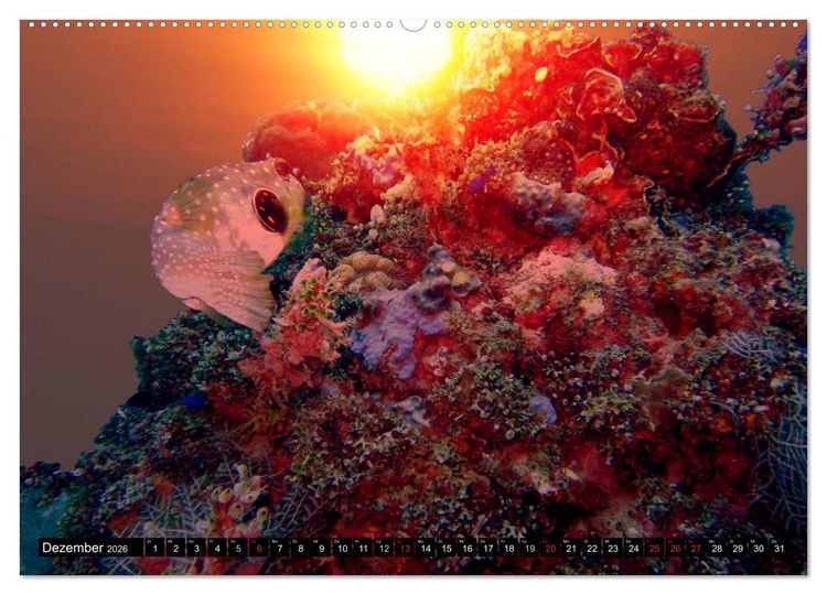 Produktbild: Surreale Unterwasserwelt (hochwertiger Premium Wandkalender 2026 DIN A2 quer), Kunstdruck in Hochglanz