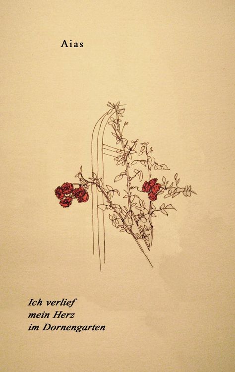 Produktbild: Ich verlief mein Herz im Dornengarten