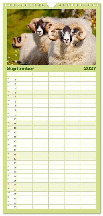 Produktbild: Familienplaner 2027 - Unter Schafen - Wegbegleiter auf Reisen mit 5 Spalten (Wandkalender, 21 x 45 cm) CALVENDO