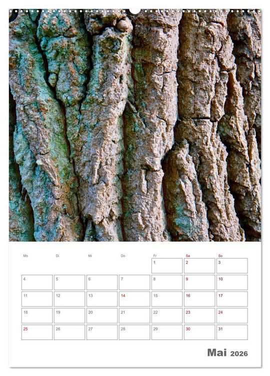 Produktbild: Planen mit dem Symbol der inneren St&auml;rke (Wandkalender 2026 DIN A2 hoch), CALVENDO Monatskalender