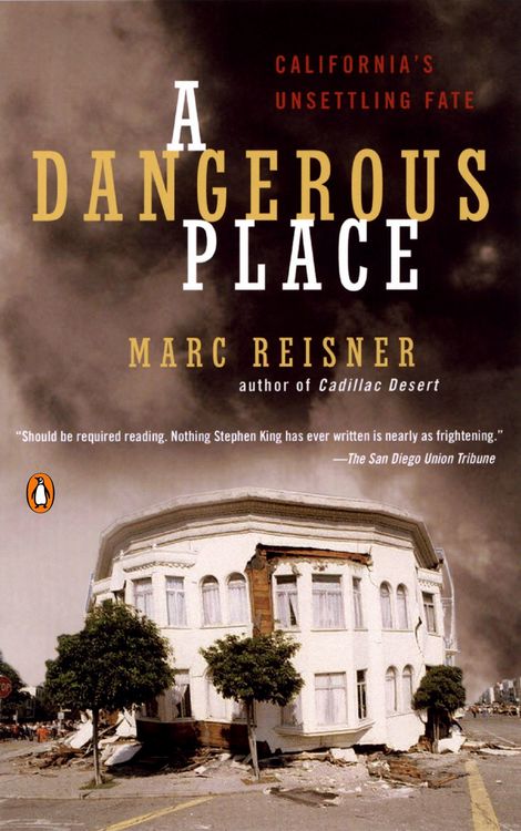 Produktbild: A Dangerous Place