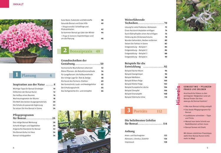 Produktbild: Bonsai ziehen, gestalten und pflegen