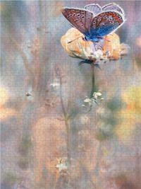 Produktbild: CALVENDO Puzzle Bl&auml;uling | 1000 Teile Lege-Gr&ouml;&szlig;e 64x48cm Foto-Puzzle f&uuml;r gl&uuml;ckliche Stunden