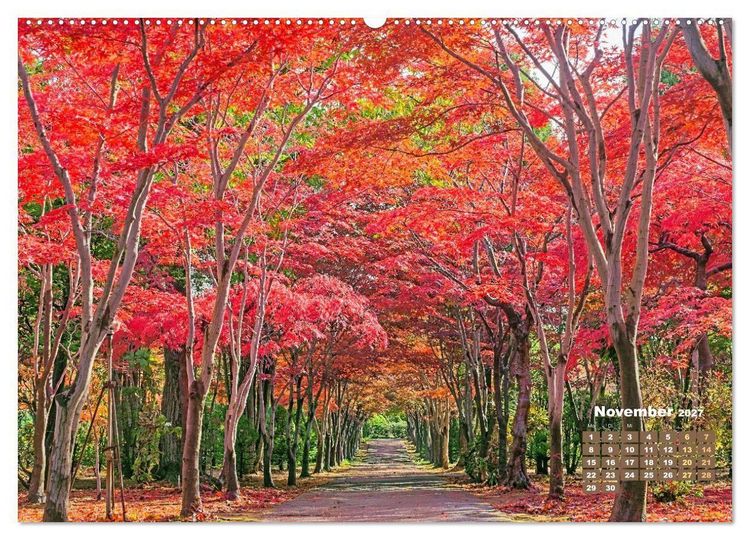 Produktbild: Japan: Entdecken Sie gelebte Tradition und einzigartige Naturwunder (hochwertiger Premium Wandkalender 2027 DIN A2 quer), Kunstdruck in Hochglanz
