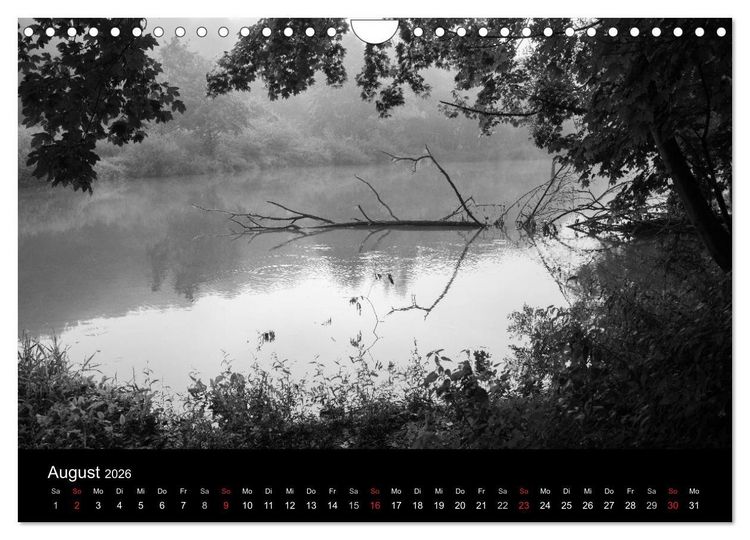 Produktbild: B&auml;ume trees 2026 (Wandkalender 2026 DIN A4 quer), CALVENDO Monatskalender