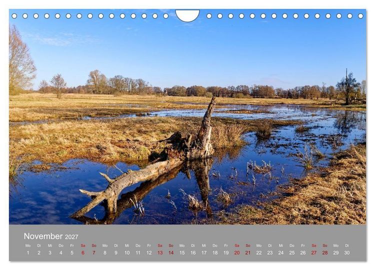Produktbild: Naturerlebnis im Biosph&auml;renreservat Dr&ouml;mling (Wandkalender 2027 DIN A4 quer), CALVENDO Monatskalender