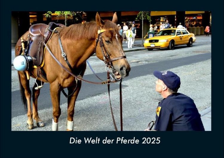 Produktbild: Die Welt der Pferde 2025 Fotokalender DIN A4