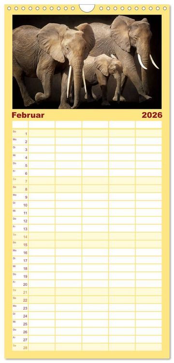 Produktbild: Familienplaner 2026 - Elefanten - Portraits der besonderen Art mit 5 Spalten (Wandkalender, 21 x 45 cm) CALVENDO