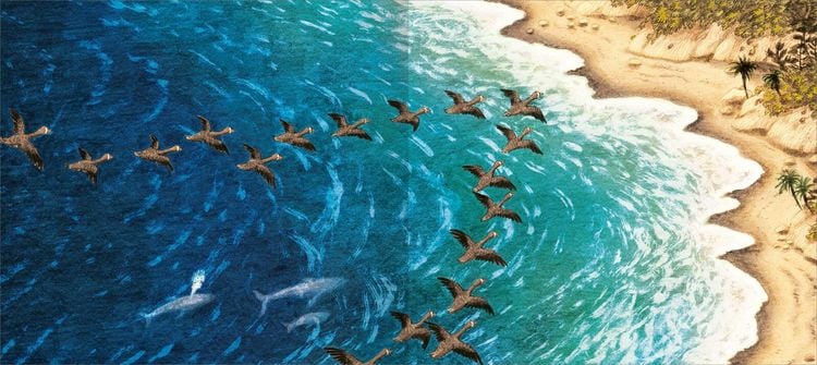 Produktbild: Was macht die kleine Gans im Herbst?