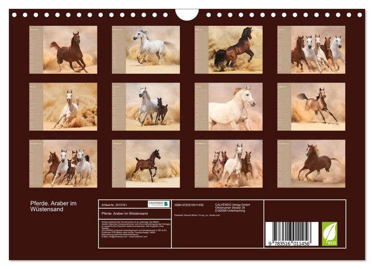 Produktbild: Pferde. Araber im W&uuml;stensand (Wandkalender 2026 DIN A4 quer), CALVENDO Monatskalender