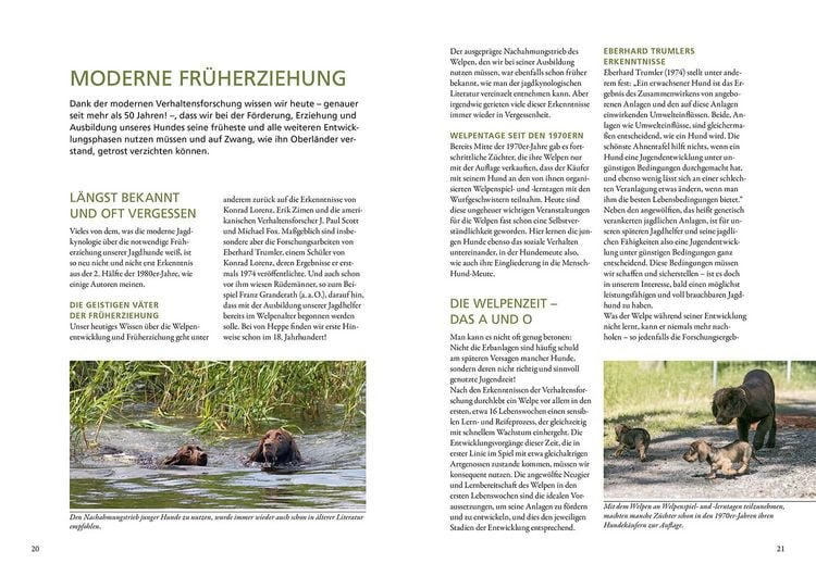 Produktbild: Der Jagdhundwelpe