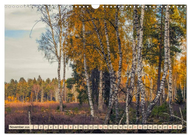 Produktbild: Herbst im Schwenninger Moos (Wandkalender 2026 DIN A3 quer), CALVENDO Monatskalender
