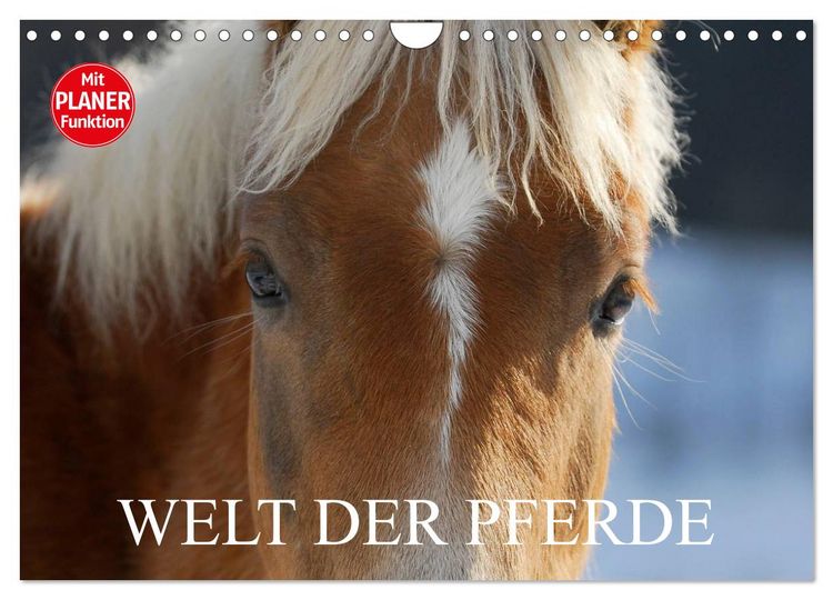 Produktbild: Welt der Pferde (Wandkalender 2026 DIN A4 quer), CALVENDO Monatskalender