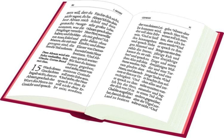 Produktbild: Schlüsselanhänger - Bibel to go